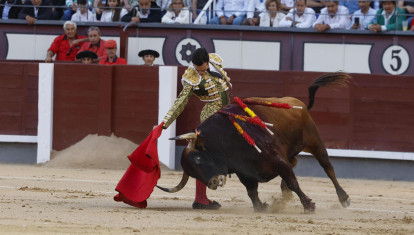 Tomás Rufo, con el último toro del festejo, castaño chorreado