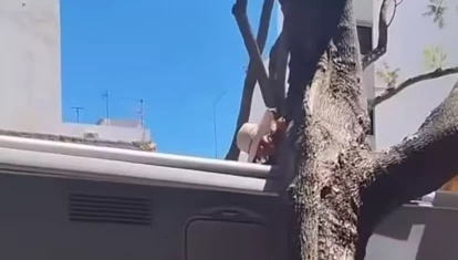 FUENGIROLA SE QUEJA
