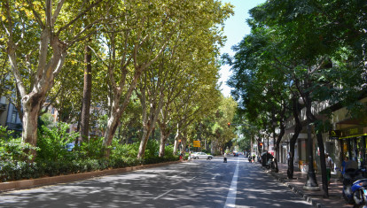 Imagen de la Gran Vía Marqués del Turia de Valencia.