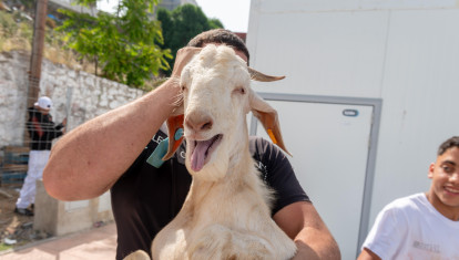 Un cordero antes de ser sacrificado para la gran fiesta musulmana del Eid al-Adha
