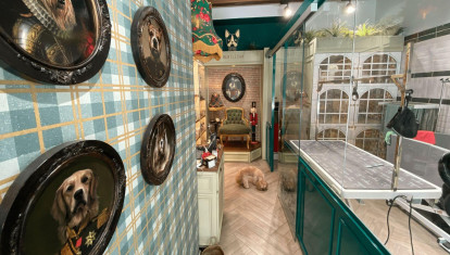 Peluquería canina Gentlecan