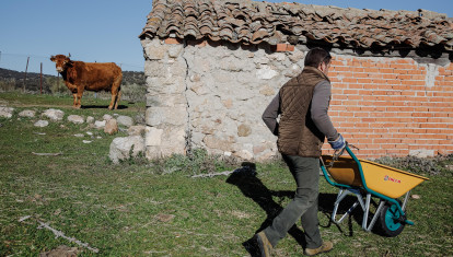 Un ganadero reparte alimento para su ganado en su finca en Colmenar Viejo (Madrid)