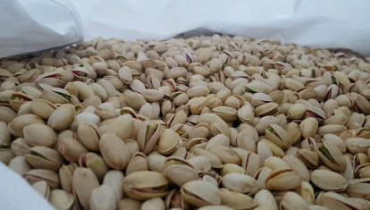 Pistachos con cáscara
