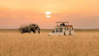 Safari en la Reserva Nacional Masái Mara (Kenia).