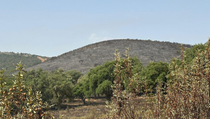 Incendios