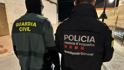 En la operación han colaborado los Mossos d'Esquadra y la Guardia Civil