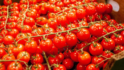 Imagen de recurso de tomates cherry