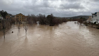 Cauce del río Genil a su paso por Puente Genil (Córdoba)