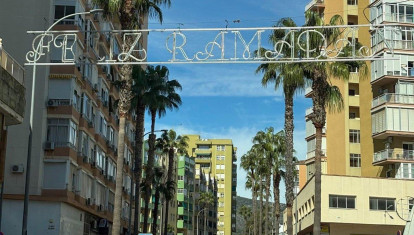 El portavoz del grupo municipal Vox en Torremolinos (Málaga), Francisco Garrido, ha reclamado al equipo de Gobierno del PP que