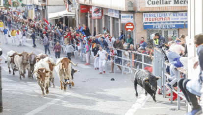 Imagen de los tradicionales encierros de Cuéllar, localidad segoviana con gran concentración de los apellidados Muñoz
