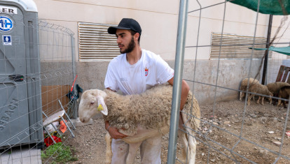 Un hombre sostiene un cordero antes de sacrificar al animal para la fiesta del cordero en Ceuta