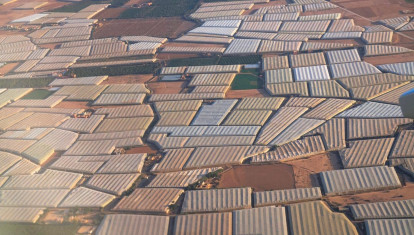 Cultivos en invernaderos en África