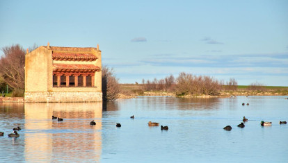 Observación de aves en la Laguna de Villafáfila con muchas aves en el agua