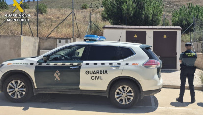Vehículo y de la Guardia Civil y un agente.