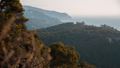 Vista aérea de las montañas del bosque en la Costa Brava en Cataluña.
