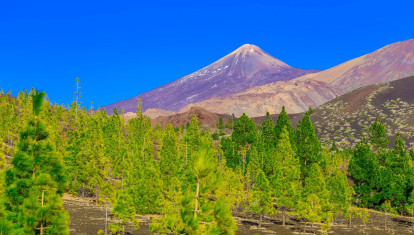 Paisaje de la isla de Tenerife