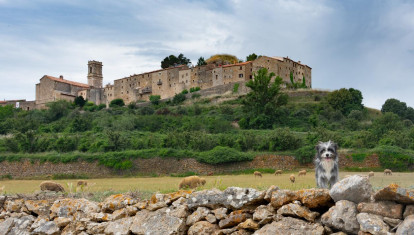 El bonito pueblo medieval de Castellón que custodia una carrasca de 500 años y 75 toneladas