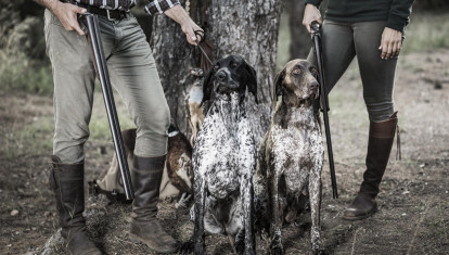 Hunters with German Shorthaired Pointers