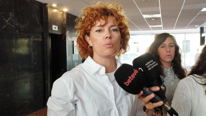 Alamany en declaraciones a los medios este martes.