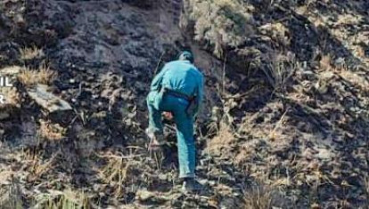 Incendio forestal que arrasó 68 hectáreas de monte bajo en La Baña (León)