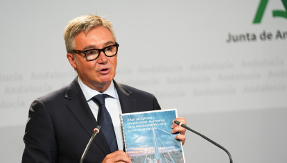 El vicepresidente segundo y consejero de Turismo, Justicia, Desregulación y Administración local, Manuel Gavira, en rueda de prensa