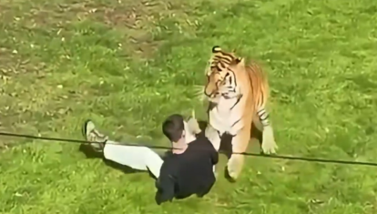 Momento en el que el hombre se cuela en el reciento del animal