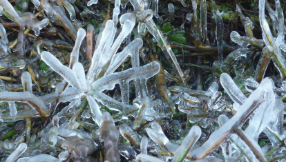 frio heladas invierno