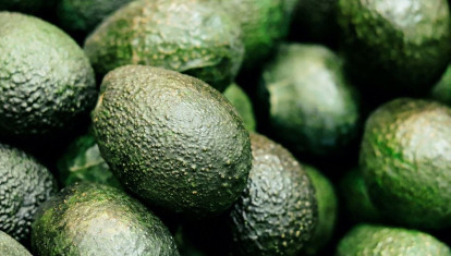 Los agricultores de Málaga solicitan nuevas infraestructuras para aumentar el riego