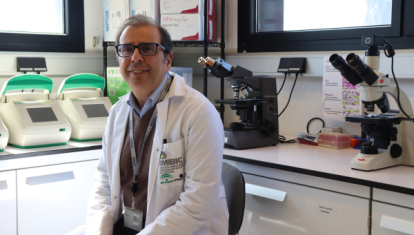 El investigador Manuel Tena-Sempere, en su laboratorio situado en el Imibic