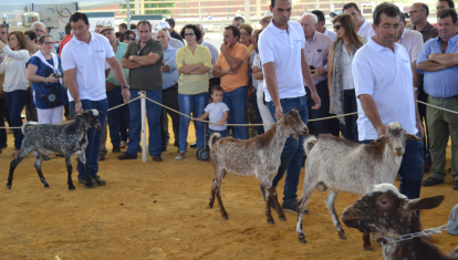 Foto de la Feria del caprino