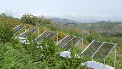 Colectores de agua de niebla en Canarias