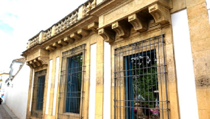 En la foto se pueden apreciar lo espléndidos penachos de la antigua puerta del palacio