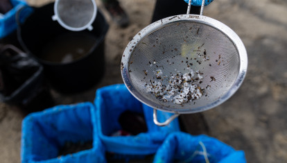 (Foto de ARCHIVO)
Pellets encontrados en la playa Bos, a 13 de enero de 2024, en Noia, A Coruña, Galicia (España). La conocida ya como la “marea blanca”, se prevé que proceda de los seis contenedores del buque Toconao que cayeron al mar en aguas portuguesas. Al menos uno de los seis contenedores, cuyo peso ronda las 20 toneladas, contendría entre 800 y 1.000 sacos de 25 kilos de pellets. Los pellets son pequeñas bolas de plástico de menos de cinco milímetros que son empleadas para fabricar productos de plástico, por su pequeño tamaño y peso ligero, es