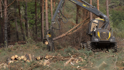 (Foto de ARCHIVO)
Una máquina de la empresa ‘Maderas Ourense’ limpia los árboles quemados en una finca, a 30 de septiembre de 2022, en A Pobra do Brollón, Lugo, Galicia, (España). Esta iniciativa pretende salvar parte del valor comercial de la madera que se quemó en los incendios del pasado mes de julio en la Sierra de O Courel, el incendio más grande de la historia en la comunidad gallega. Además de aprovechar la madera, las autoridades están extendiendo hierba seca para prevenir la posible caída del terreno y de las cenizas acumuladas a los ríos.La Xunta dio por extinguido el incendio de la Serra do Courel catorce días después de que empezase, el 15 de agosto, la Consellería de Medio Rural apuntó entonces que fueron más de 11.000 hectáreas las calcinadas en los municipios de Folgoso do Courel, A Pobra do Brollón y Quiroga.

Carlos Castro / Europa Press
30 SEPTIEMBRE 2022;INCENDIO;O COUREL;BOSQUE;LUGO;POBRA DO BROLLÓN;HIERBA;MADERA;LIMPIEZA
30/9/2022
