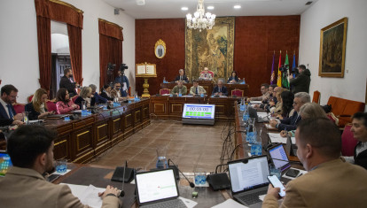 Imagen de la sesión plenaria celebrada en la Diputación de Córdoba