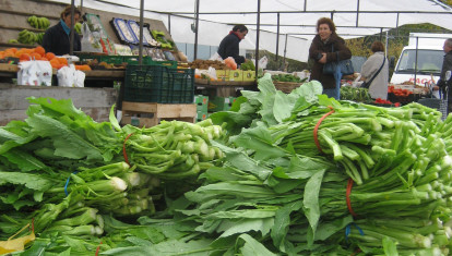 Un alimento gallego con muchas propiedades que desconocen en resto de España