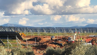 La Junta de Andalucía tendría que plantar 28,5 millones de árboles para compensar el CO2 que dejarán de capturar el medio millón de olivos centenarios que prevén arrancar, en Jaén y Córdoba, para instalar megaplantas fotovoltaicas