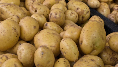 Patatas