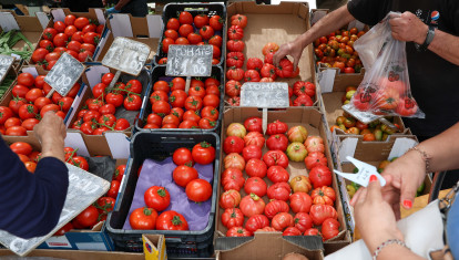 Cajas de tomates en un mercado de la Comunidad de Madrid