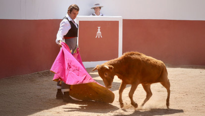 Diego Tebas, toreando