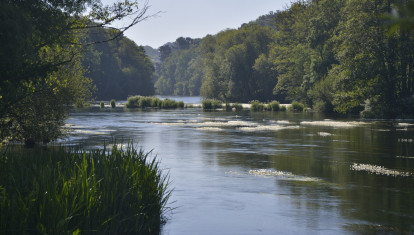 Río Miño