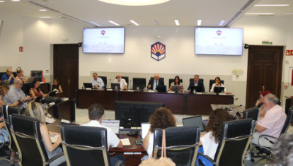 Sesión ordinaria del último Consejo de Gobierno de la Universidad de Córdoba
