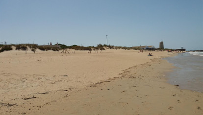 Imagen de la playa de El Palmar, en Vejer de la Frontera (Cádiz)