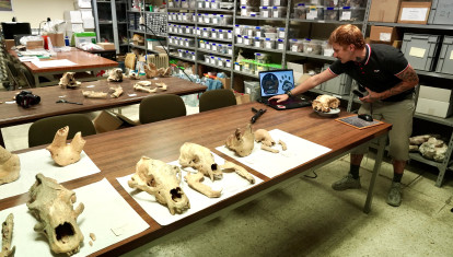 Investigadores de la Universidad de León y del Museo Nacional de Ciencias Naturales presentan la primera Campaña de recuperación de restos de fauna del Cuaternario en cuevas de la provincia