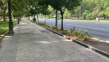 Avenida de Vallelano, en Córdoba