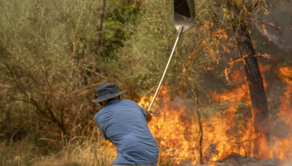 FOTODELDÍA CUALEDRO (OURENSE), 17/08/2025.- Un vecino trabaja en labores de extinción del incendio forestal de Cualedro (Ourense) este domingo. La ola de incendios que afecta al noroeste de España no da tregua este domingo. Tras una semana de incendios que han causado tres muertos, miles de hectáreas quemadas y miles de desalojados por las llamas, el país se encuentra devastao. En la región de Galicia ardieron ya 50.000 hectáreas y en la de Castilla y León 3.500 personas permanecían fuera de sus hogares. EFE/ Brais Lorenzo