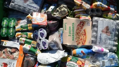 Alimentos desperdiciados