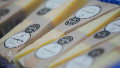 El mejor queso de vaca curada de España es gallego
