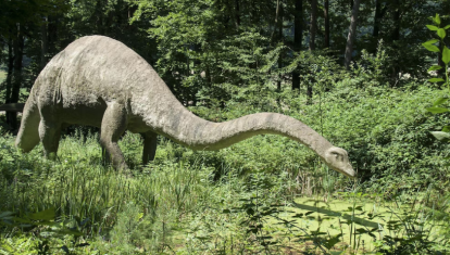 Ilustración de un diplodocus