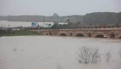 El río Guadalete desborda sus márgenes a su paso por la zona de Las Pachecas en Jerez de la Frontera (Cádiz) provocando importantes inundaciones. A 4 de febrero de 2026, en Jerez de la Frontera, Cádiz (Andalucía, España). La Agencia Estatal de Meteorología (Aemet) ha activado hasta las 15.00 horas de este miércoles 4 de febrero aviso de nivel rojo --peligro extraordinario-- en la comarca gaditana del Campo de Gibraltar por lluvias que pueden dejar hasta 120 litros por metro cuadrado en 12 horas, especialmente en el entorno del municipio de Algeciras. En todo el litoral de Cádiz hay además activos avisos de nivel naranja por fenómenos costeros y fuertes vientos.

Rocío Ruz / Europa Press
04/2/2026